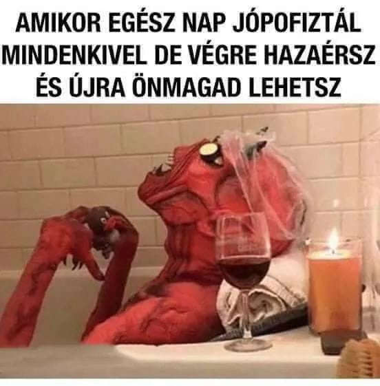 KOS felszálló / MÉRLEG leszálló holdcsomó😉