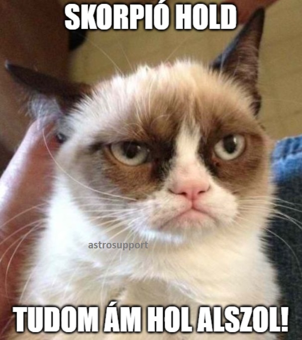 A Hold még mindíg a skorpióban ♏️🌛, a sérelmek őrizgetésének...