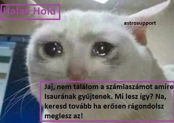 Halakban a Hold ♓️🌛, mint az érzékeny, empatikus lélek.