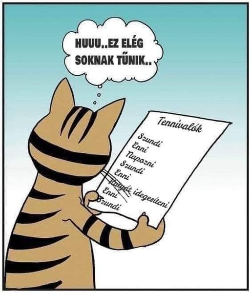 Reggel átlép a bikába a hold