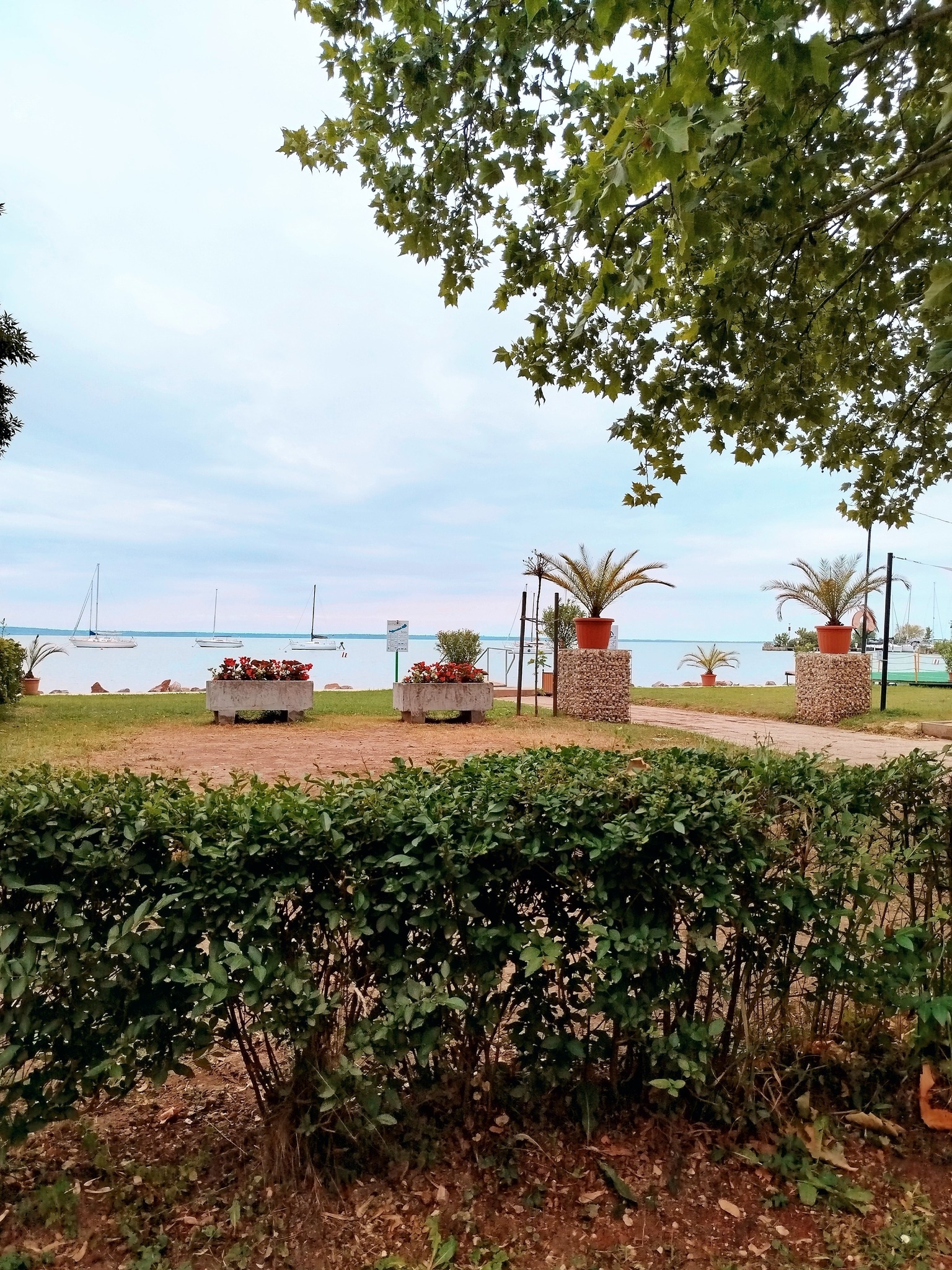 Köztünk és a part között van még egy üres parcella. Idén ezt...