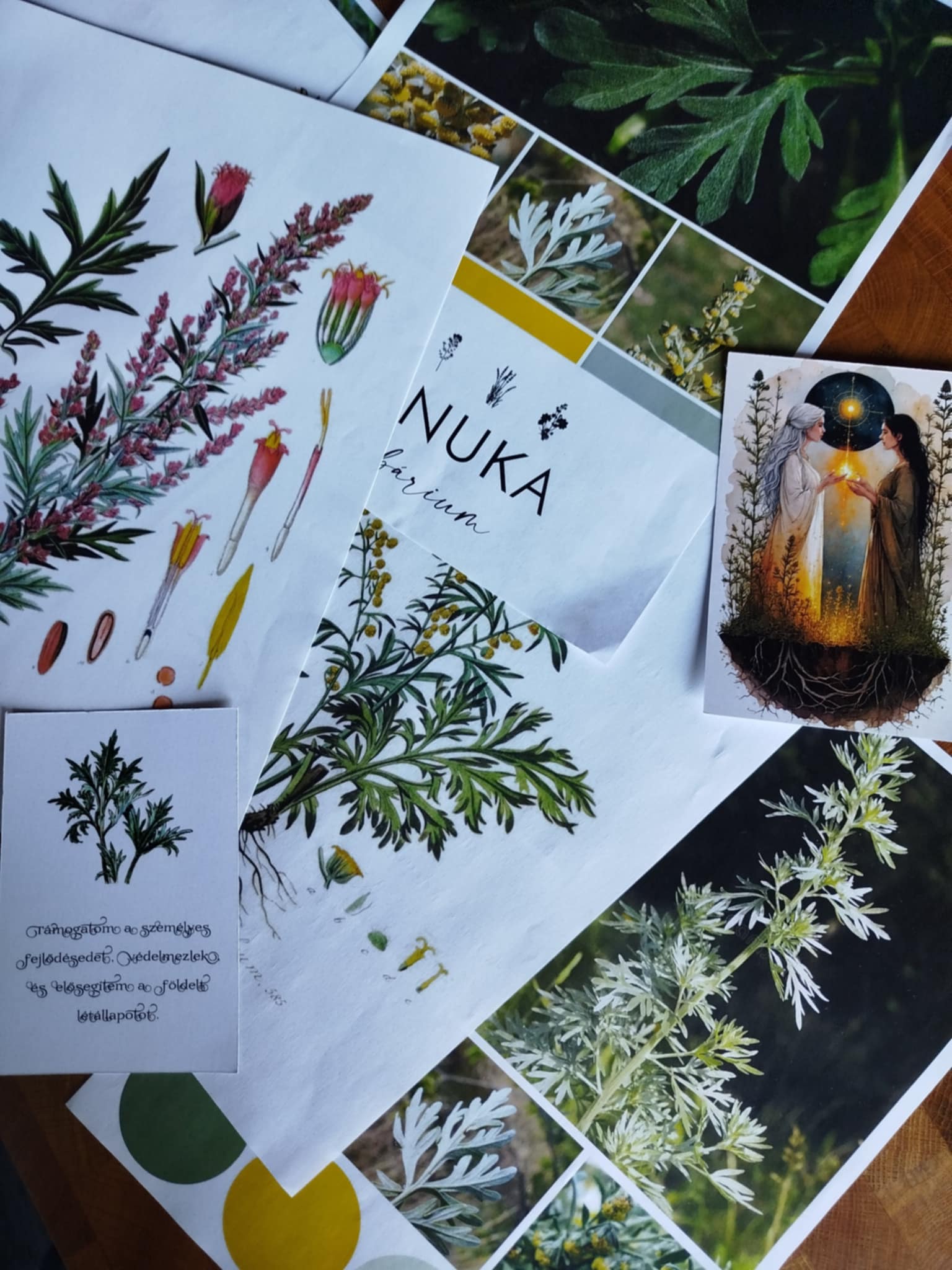 Vasárnap gyógynövényes workshopon voltam, a Manuka Herbárium...