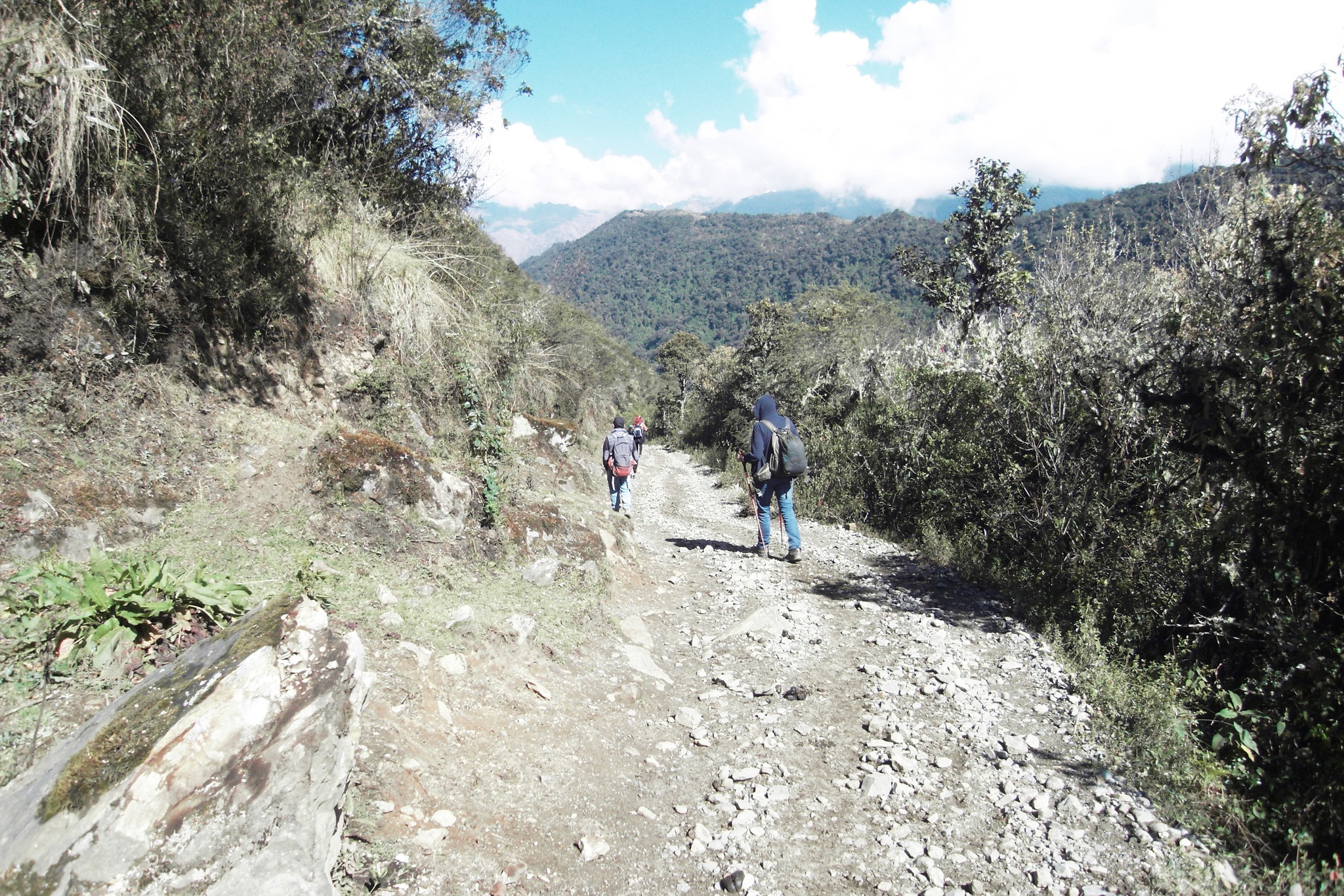 Még előző este a vacsoránál néhányan próbáltunk nyomást gyak...