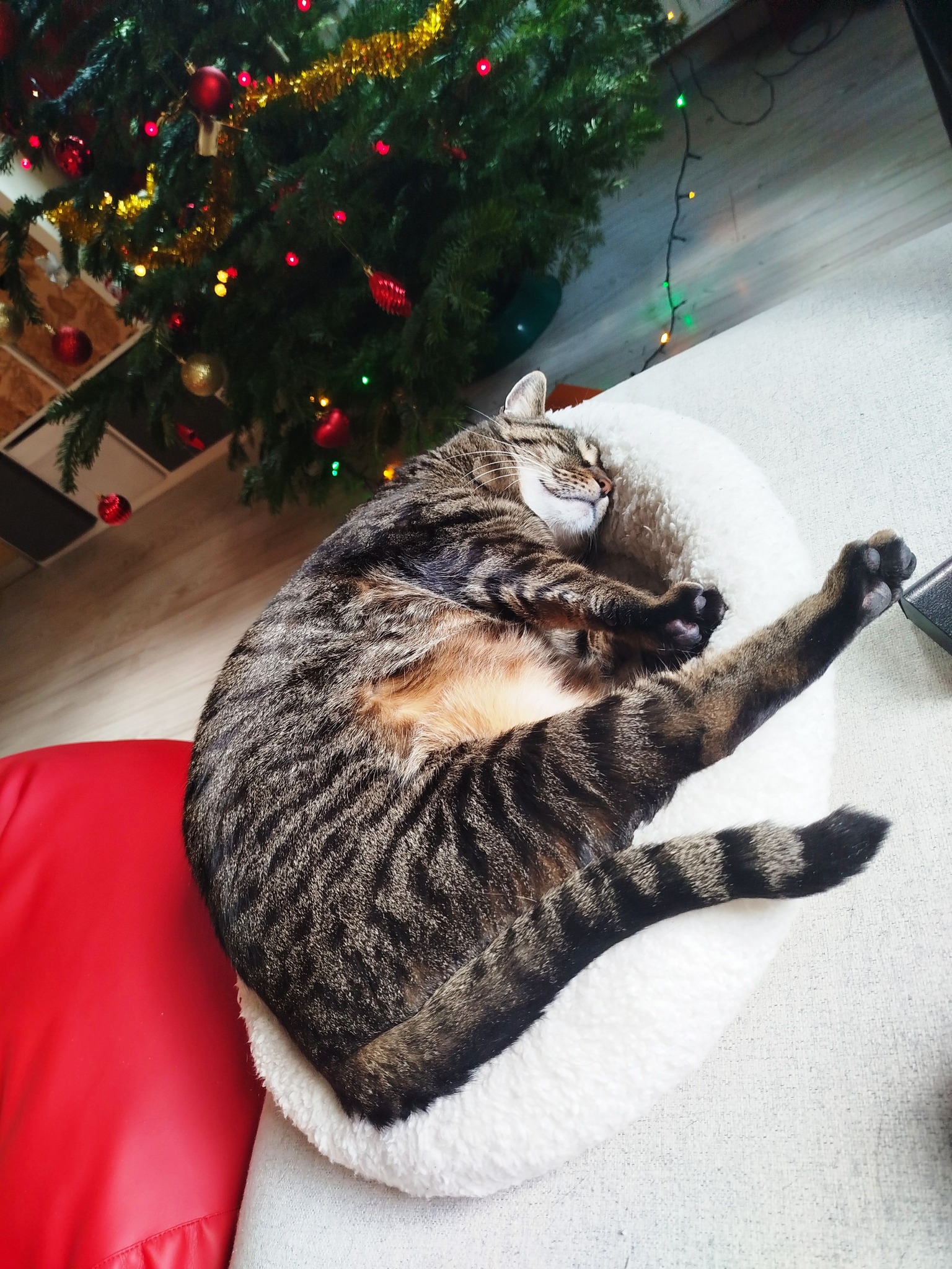 Az élet császára, akinek a naptárába elfelejtettük feljegyez...