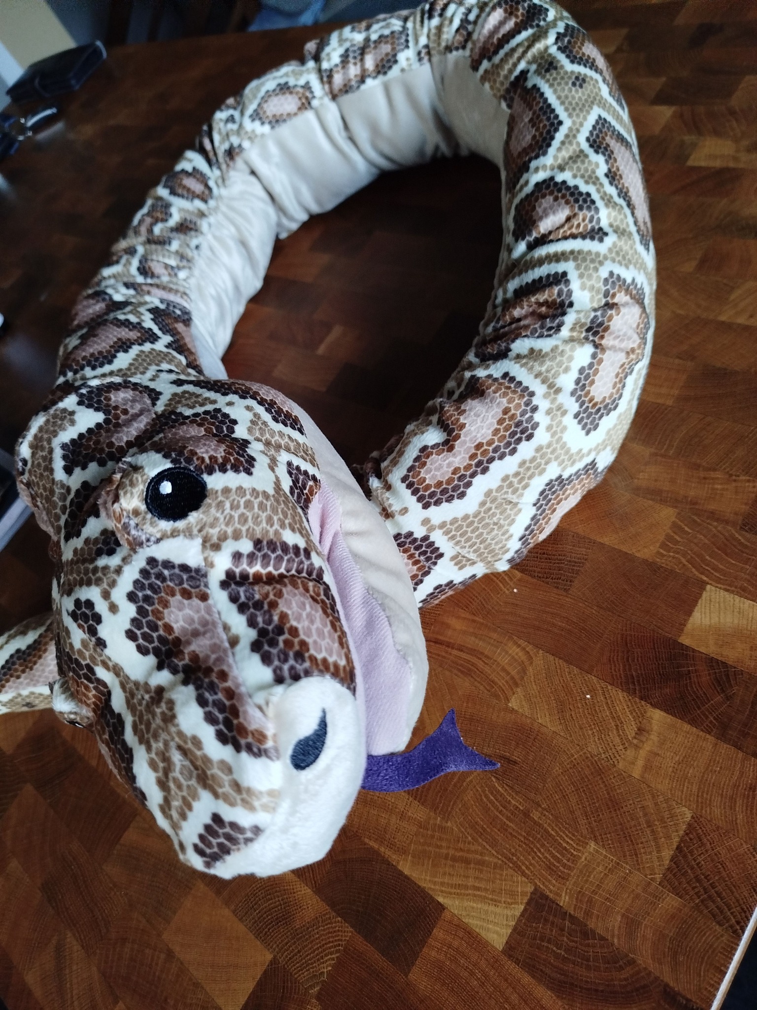 A múlt héten volt egy nagyon érdekes kígyós álmom és az előb...