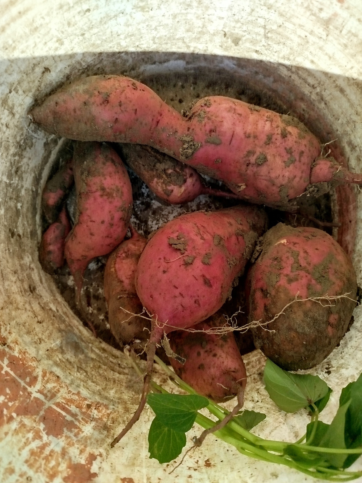 Anyum Mérleg Nappal a hatos házban, Bika AC, Halak Hold. Én ...